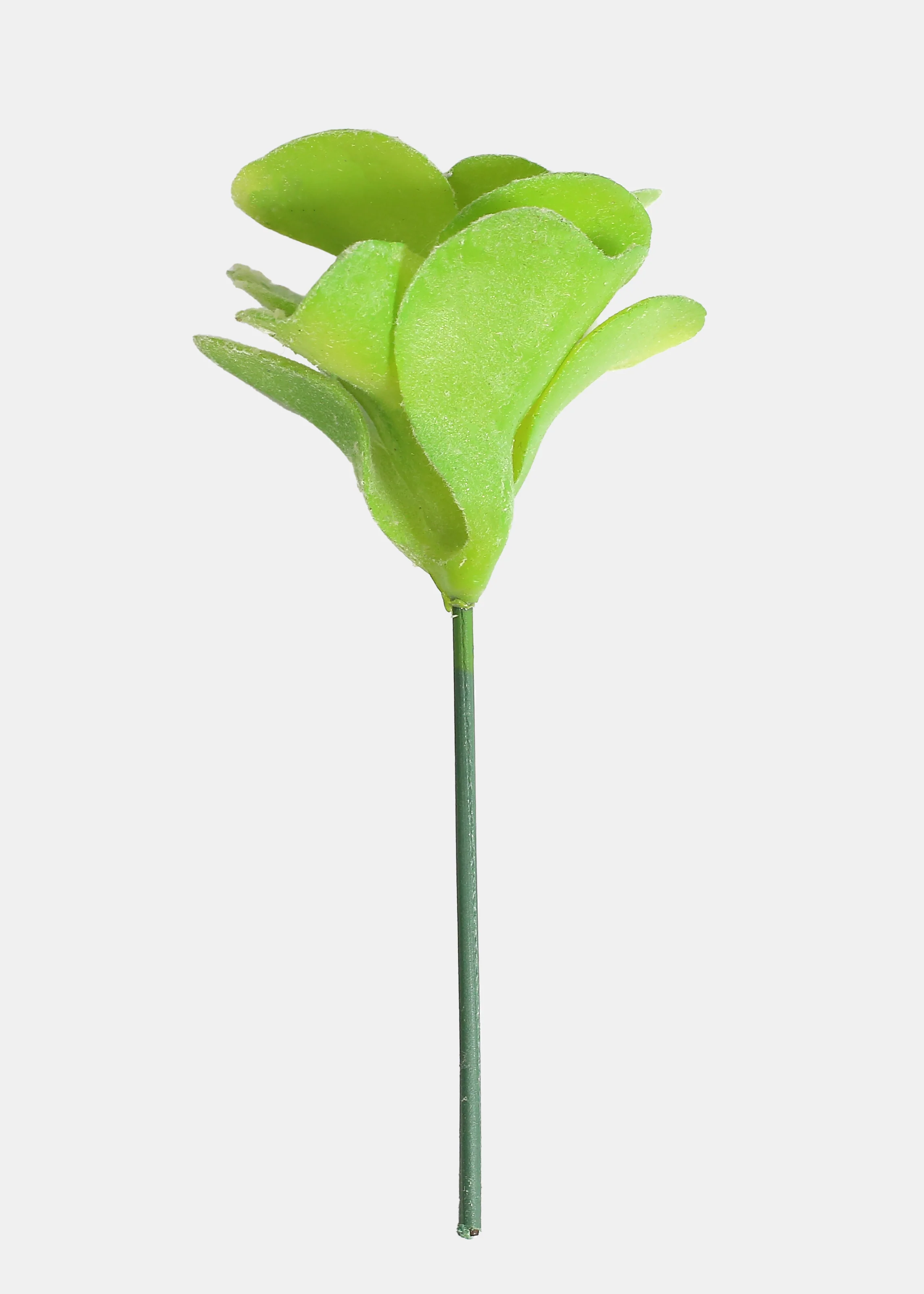Official Key Items Artificial Succulents - Green Desert Rose - Image 2