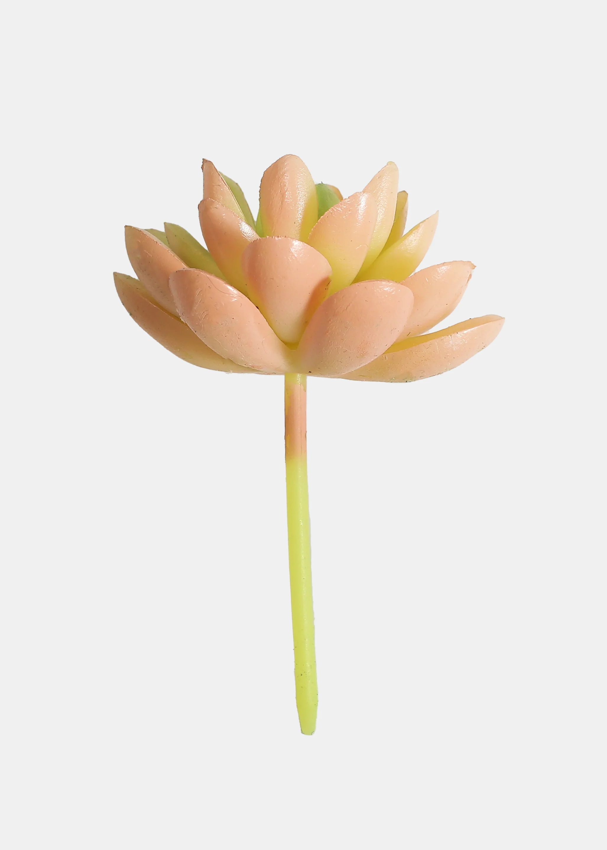 Official Key Items Artificial Succulents - Green Diamond Lotus - Image 2