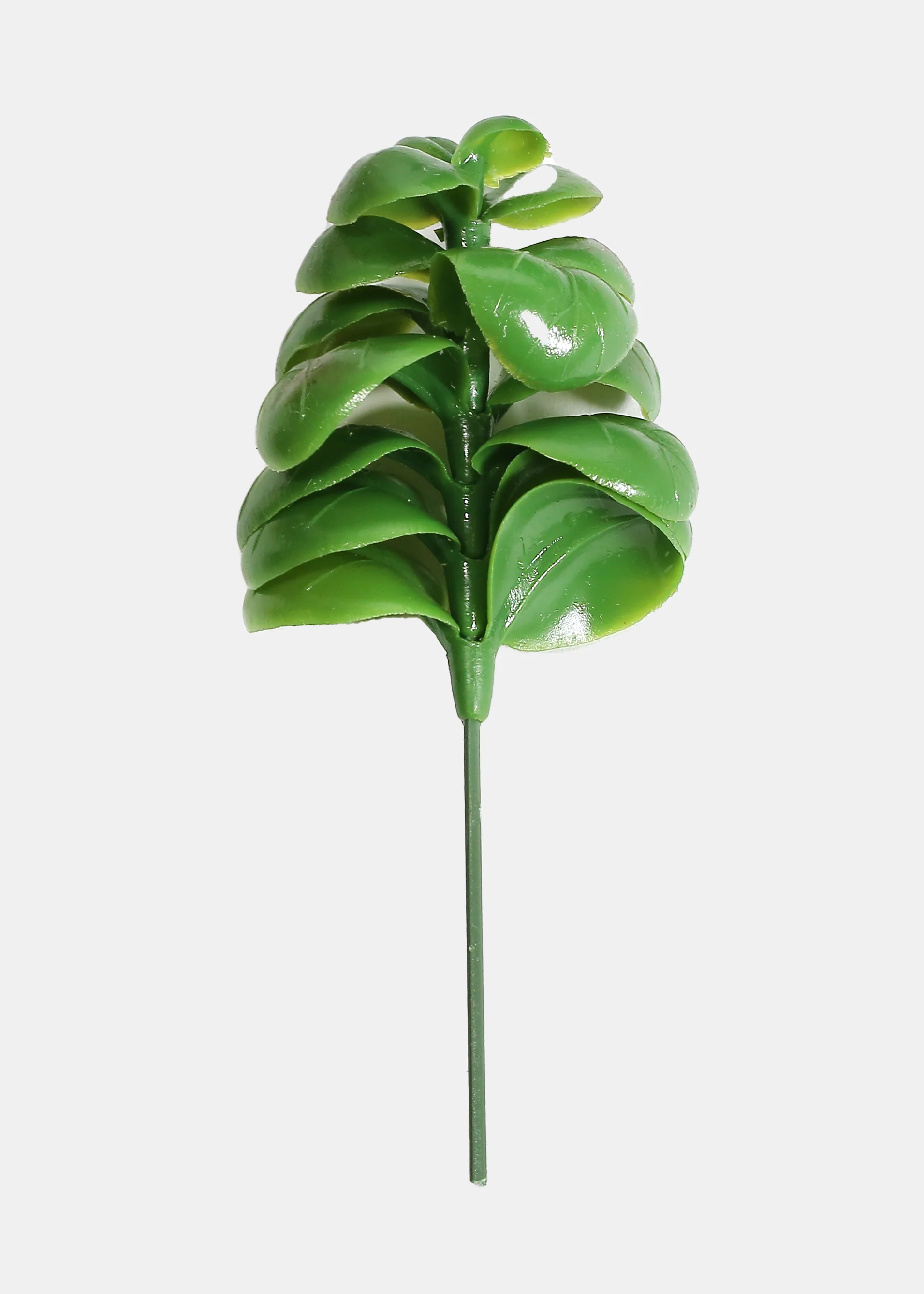 Official Key Items Artificial Succulents - Green Jade A - Image 2