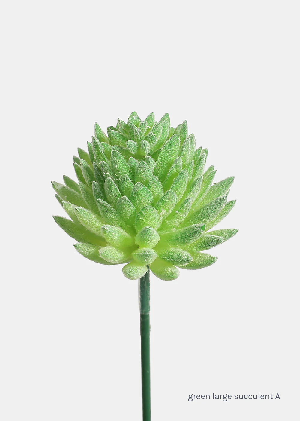 Official Key Items Artificial Succulents - Green Large Succulent A