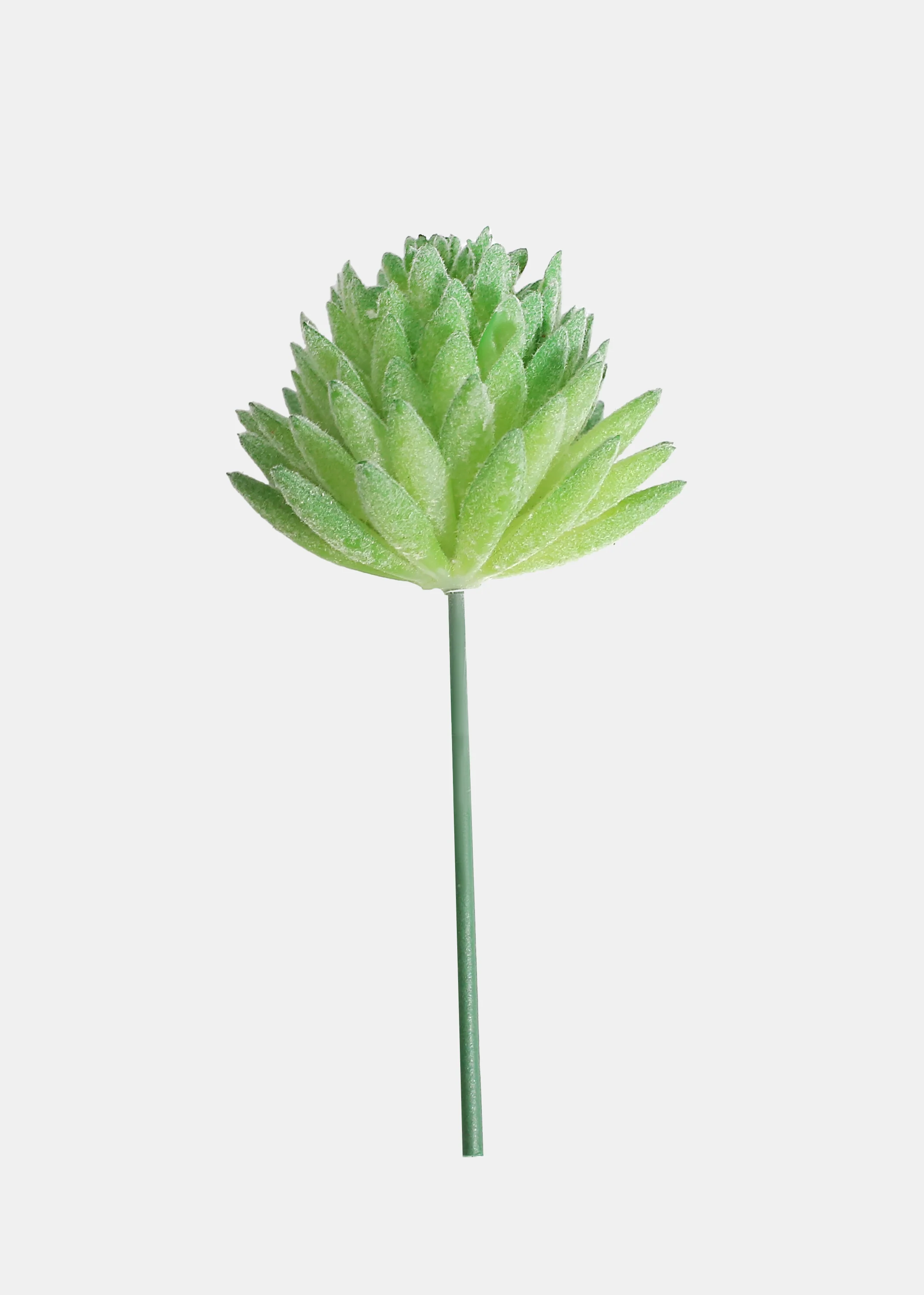 Official Key Items Artificial Succulents - Green Large Succulent A - Image 2