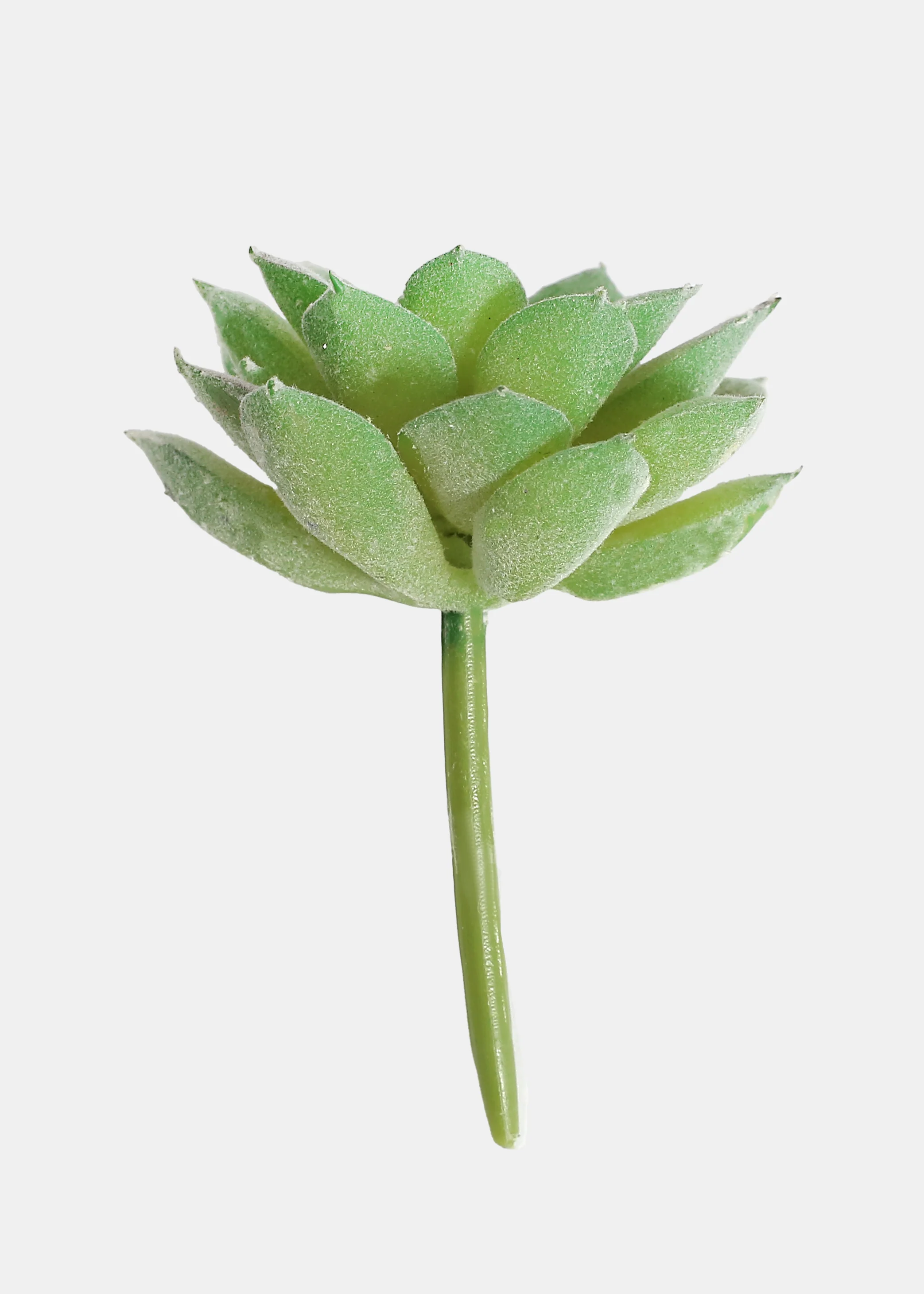 Official Key Items Artificial Succulents - Green Lotus - Image 3