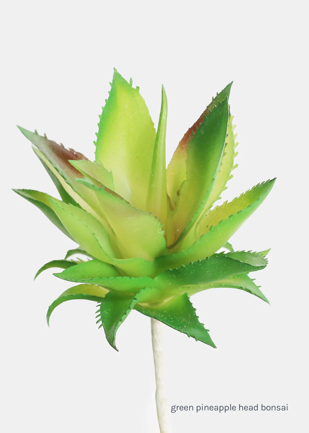 Official Key Items Artificial Succulents - Green Pineapple Head Bonsai