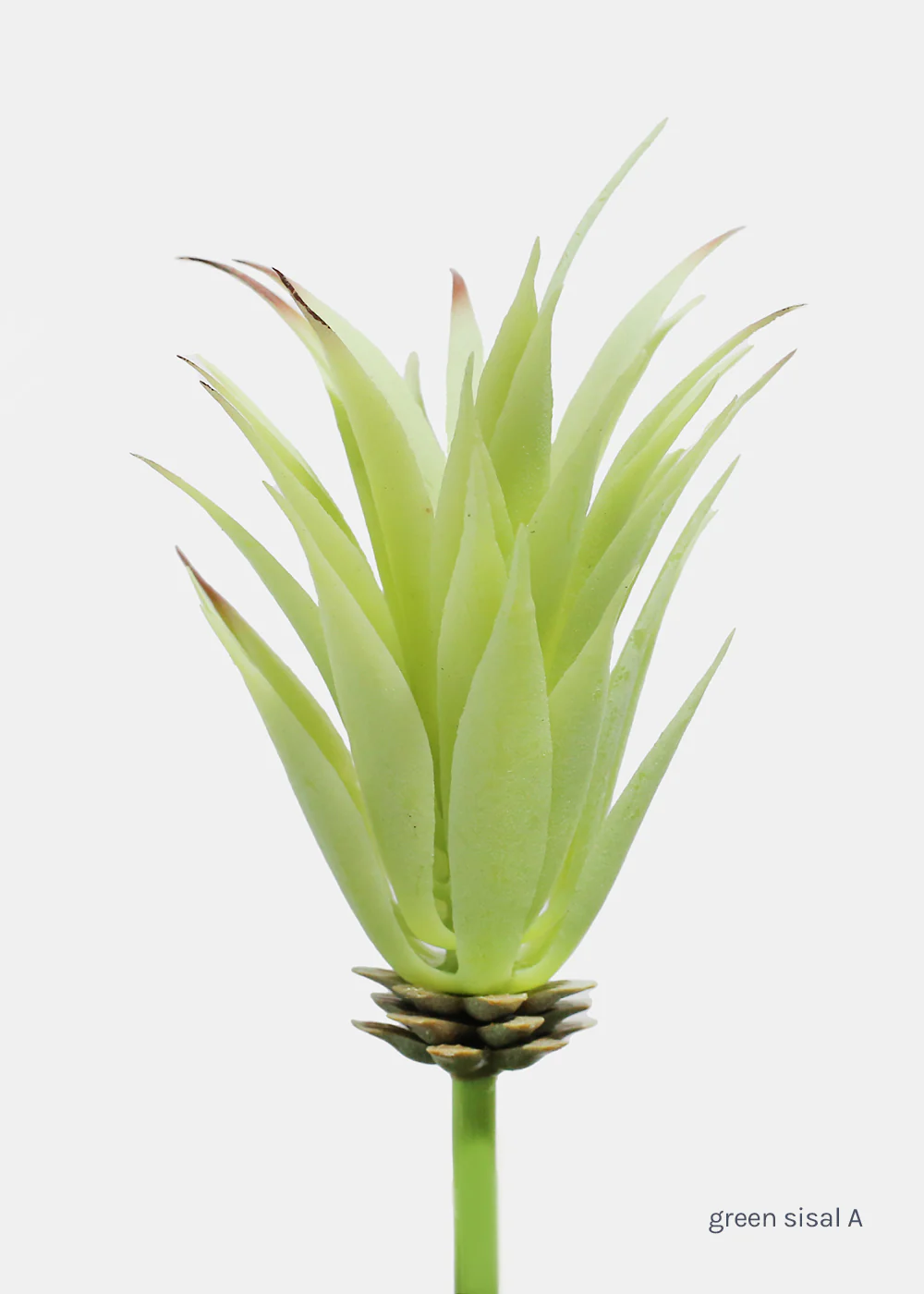 Official Key Items Artificial Succulents - Green Sisal A