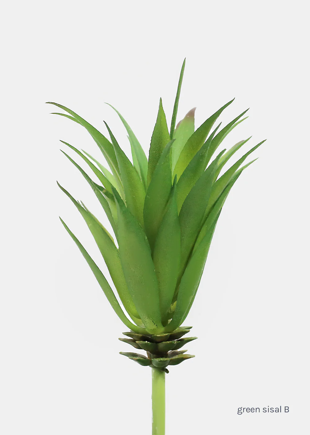 Official Key Items Artificial Succulents - Green Sisal B