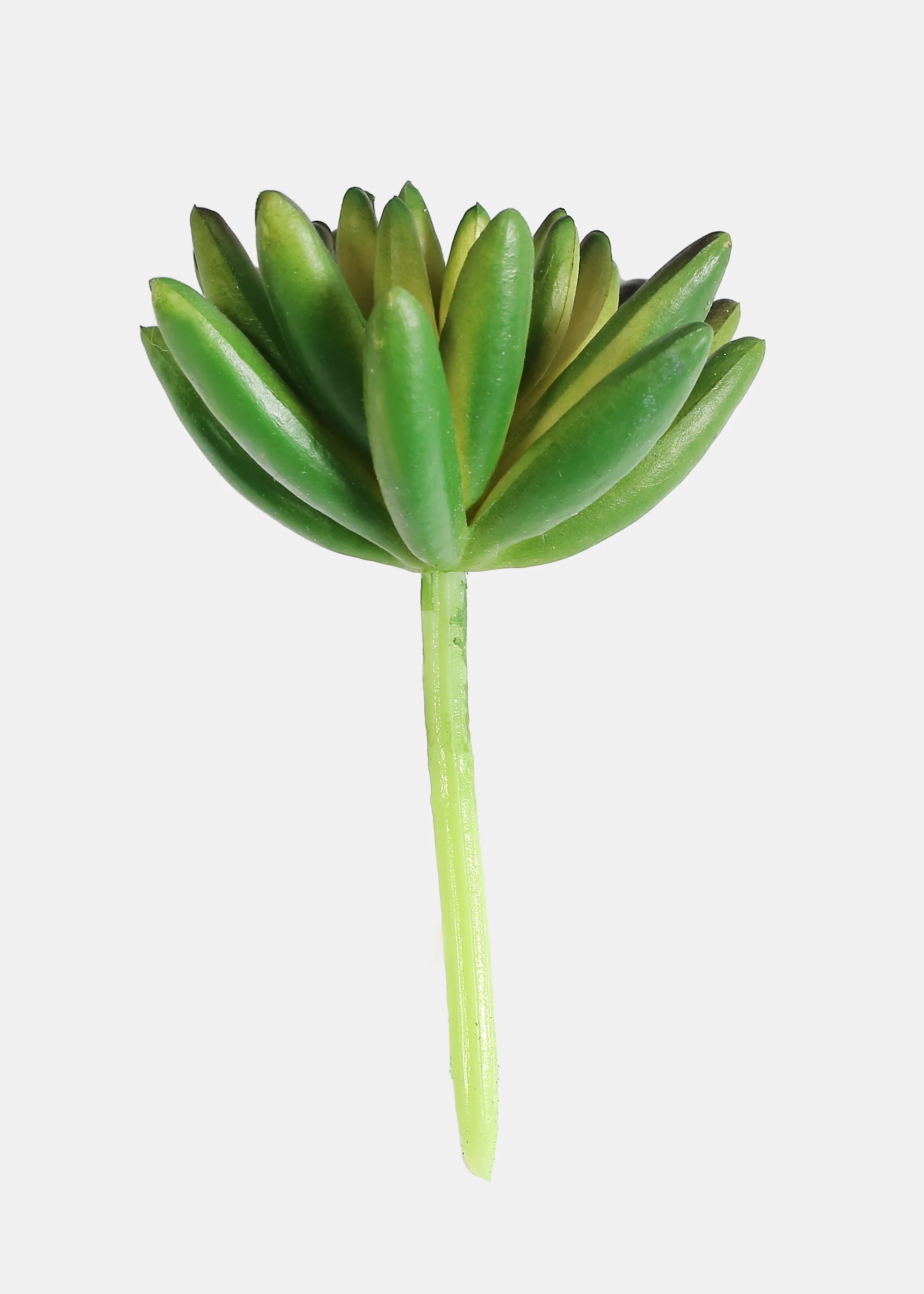 Official Key Items Artificial Succulents - Green Spike Rosette - Image 2