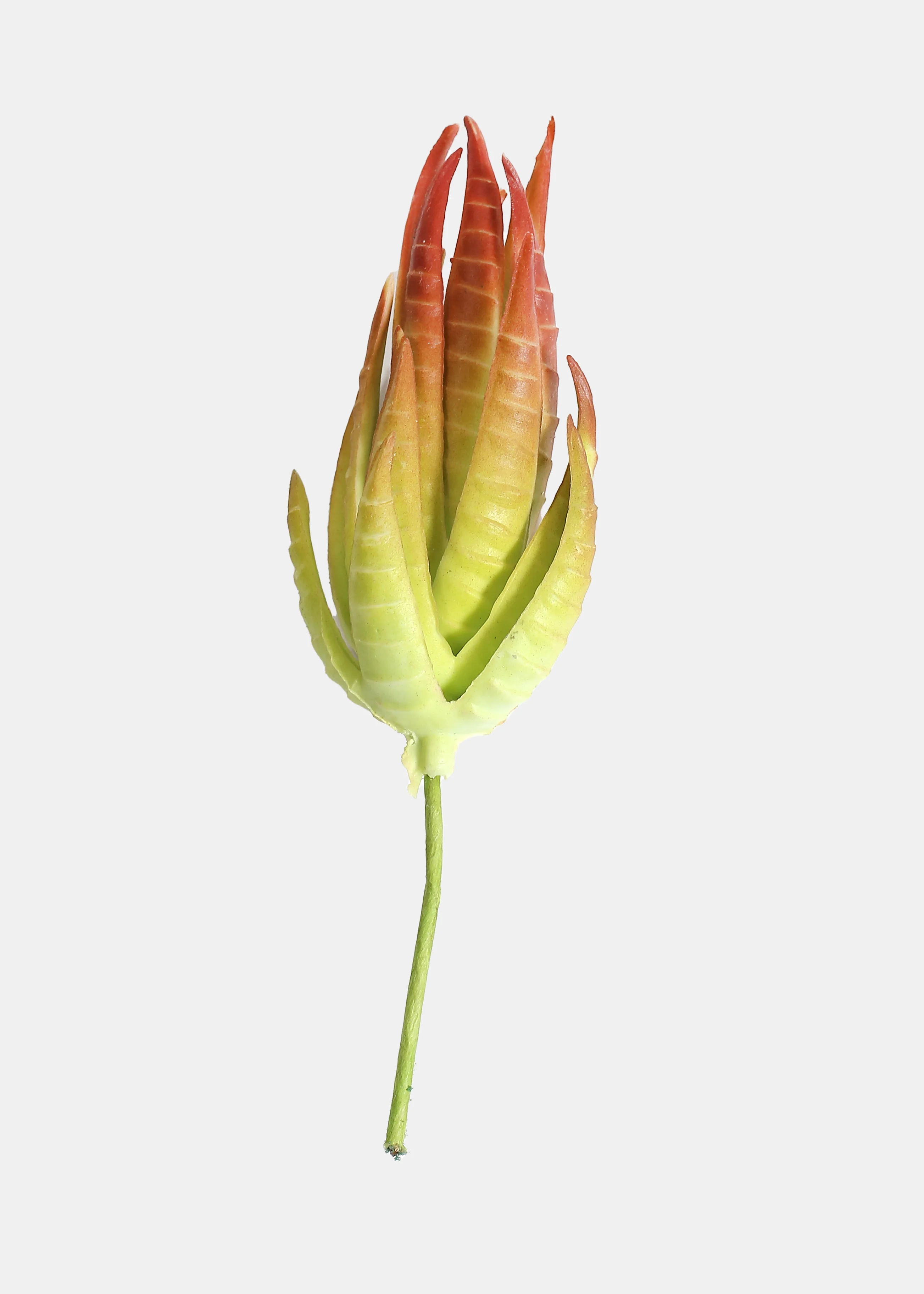 Official Key Items Artificial Succulents - Green Thread Aloe - Image 2