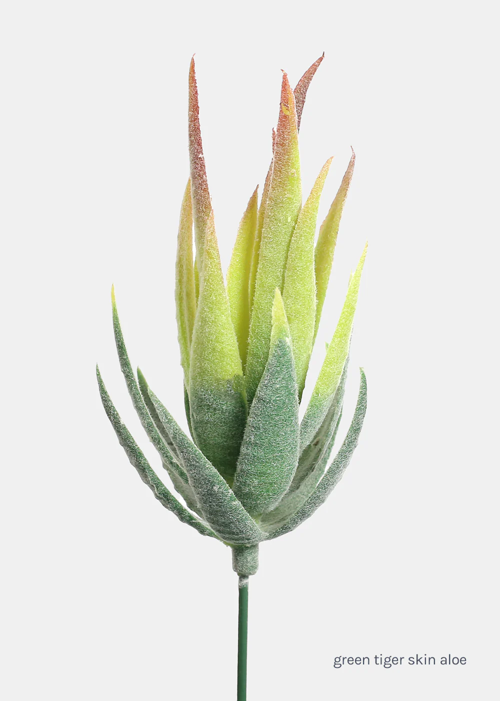 Official Key Items Artificial Succulents - Green Tiger Skin Aloe