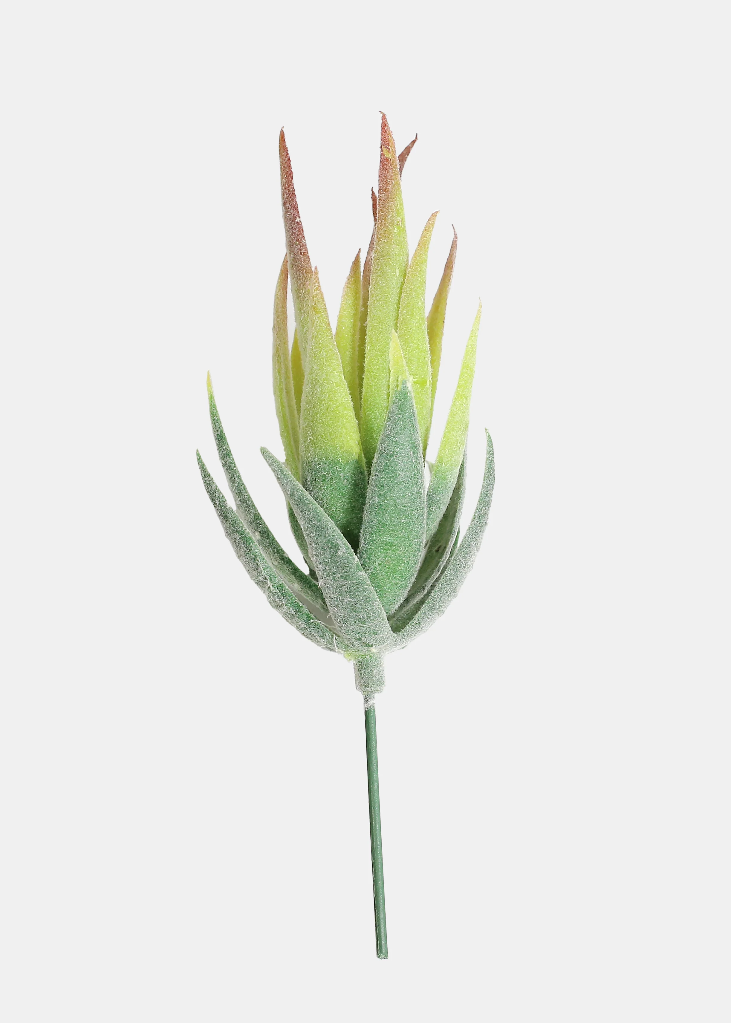 Official Key Items Artificial Succulents - Green Tiger Skin Aloe - Image 2