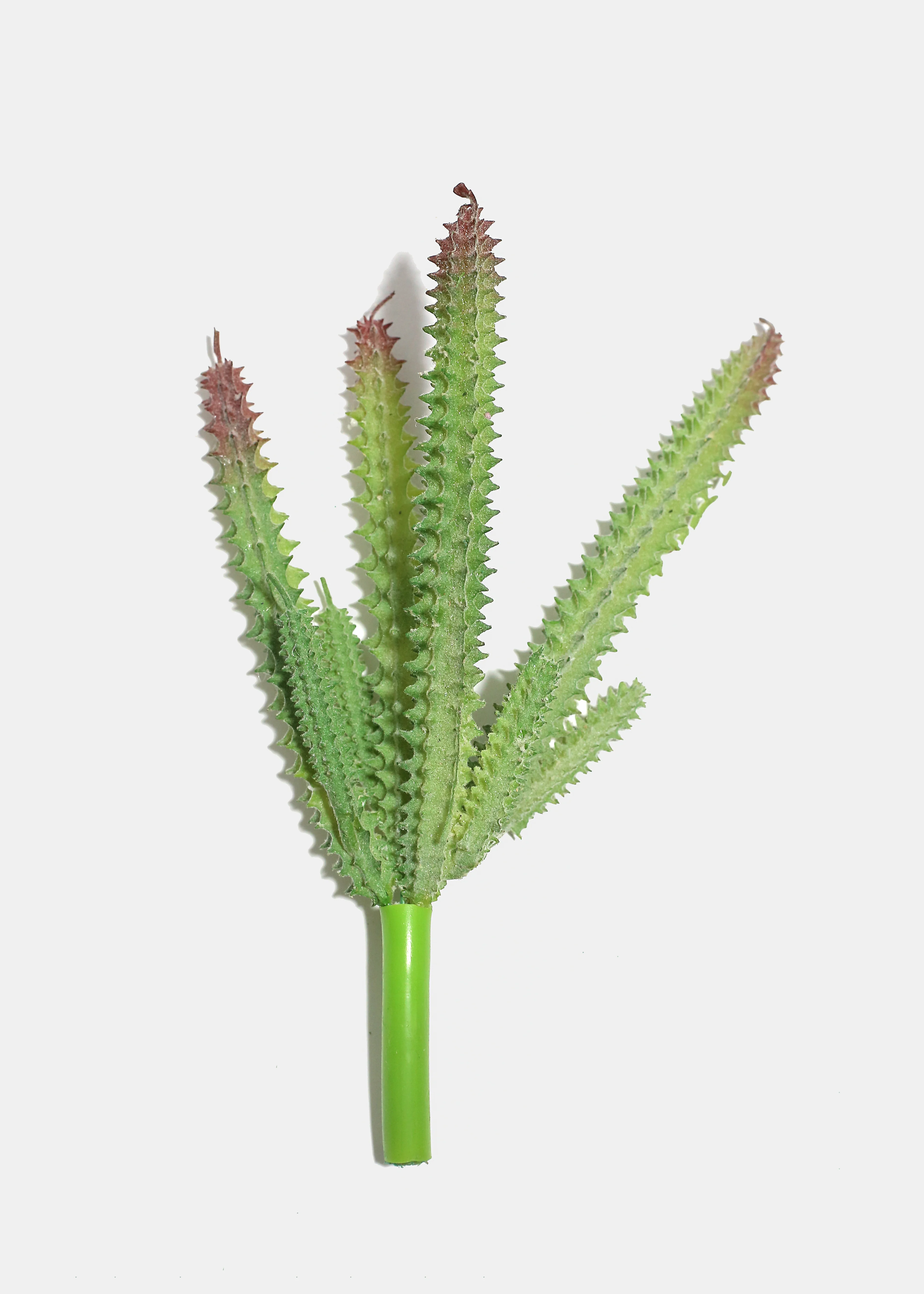 Official Key Items Artificial Succulents - Grey Cereus - Image 2