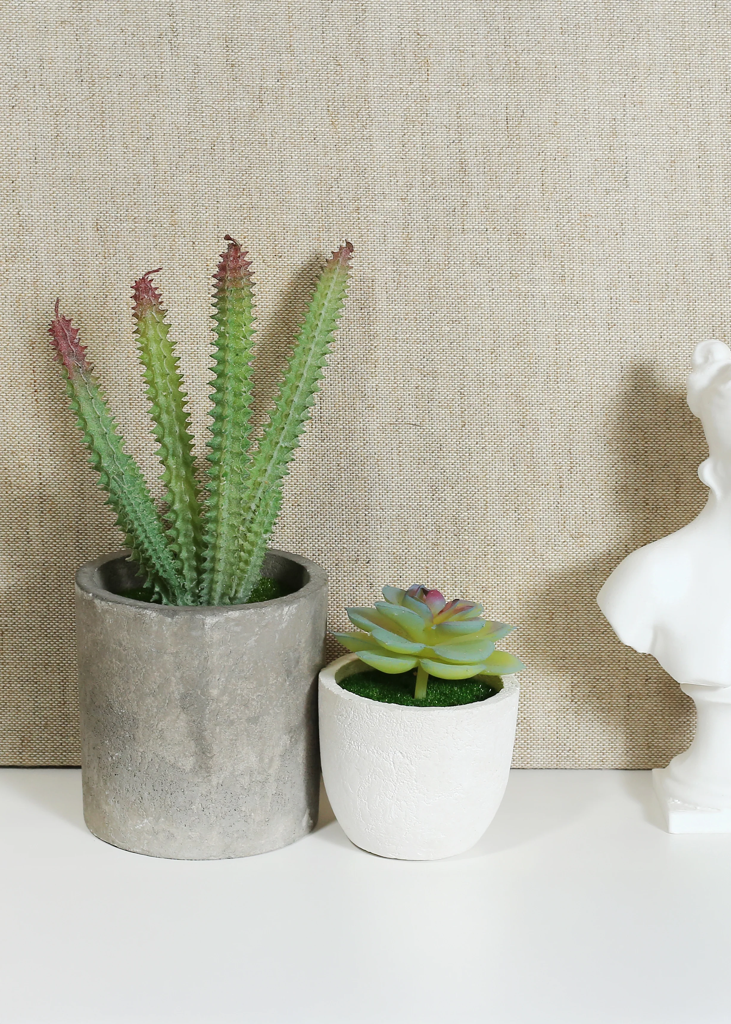 Official Key Items Artificial Succulents - Grey Cereus - Image 3