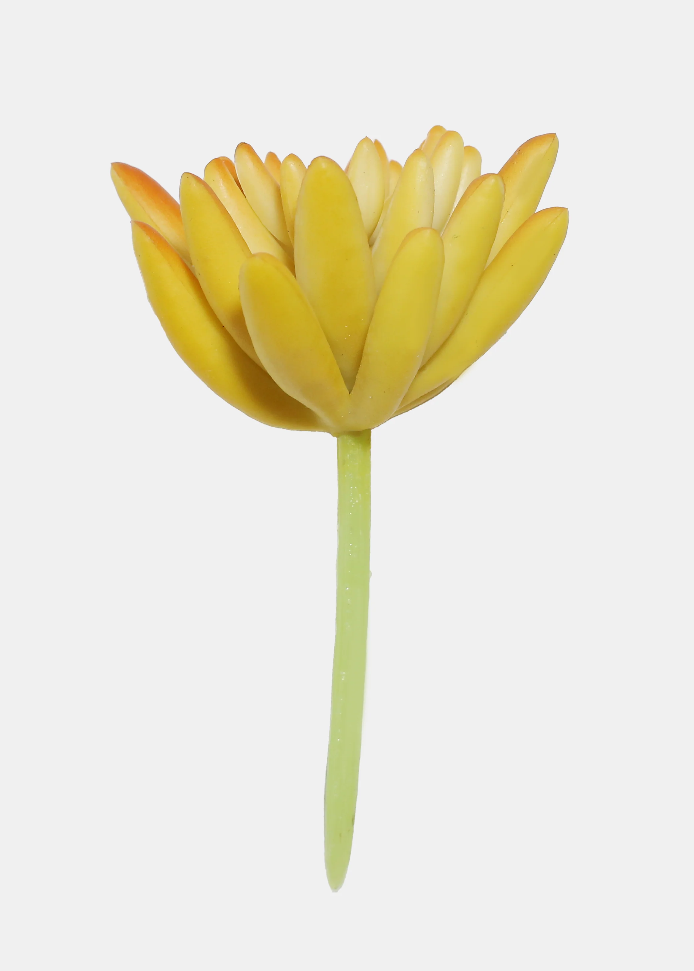 Official Key Items Artificial Succulents - Orange Spike Rosette - Image 2