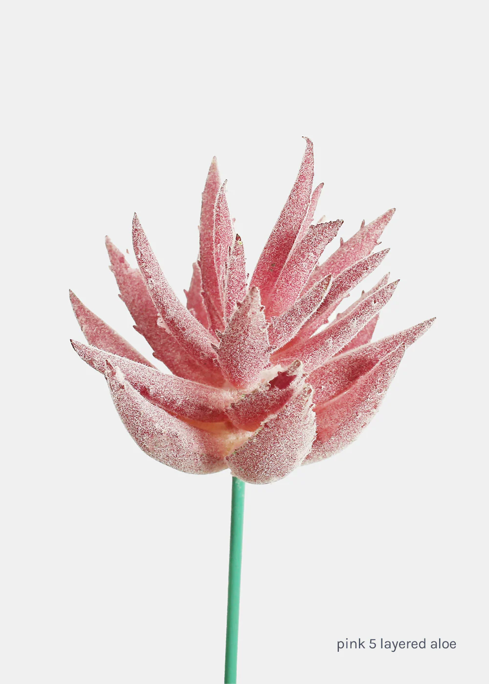 Official Key Items Artificial Succulents - Pink 5 Layered Aloe