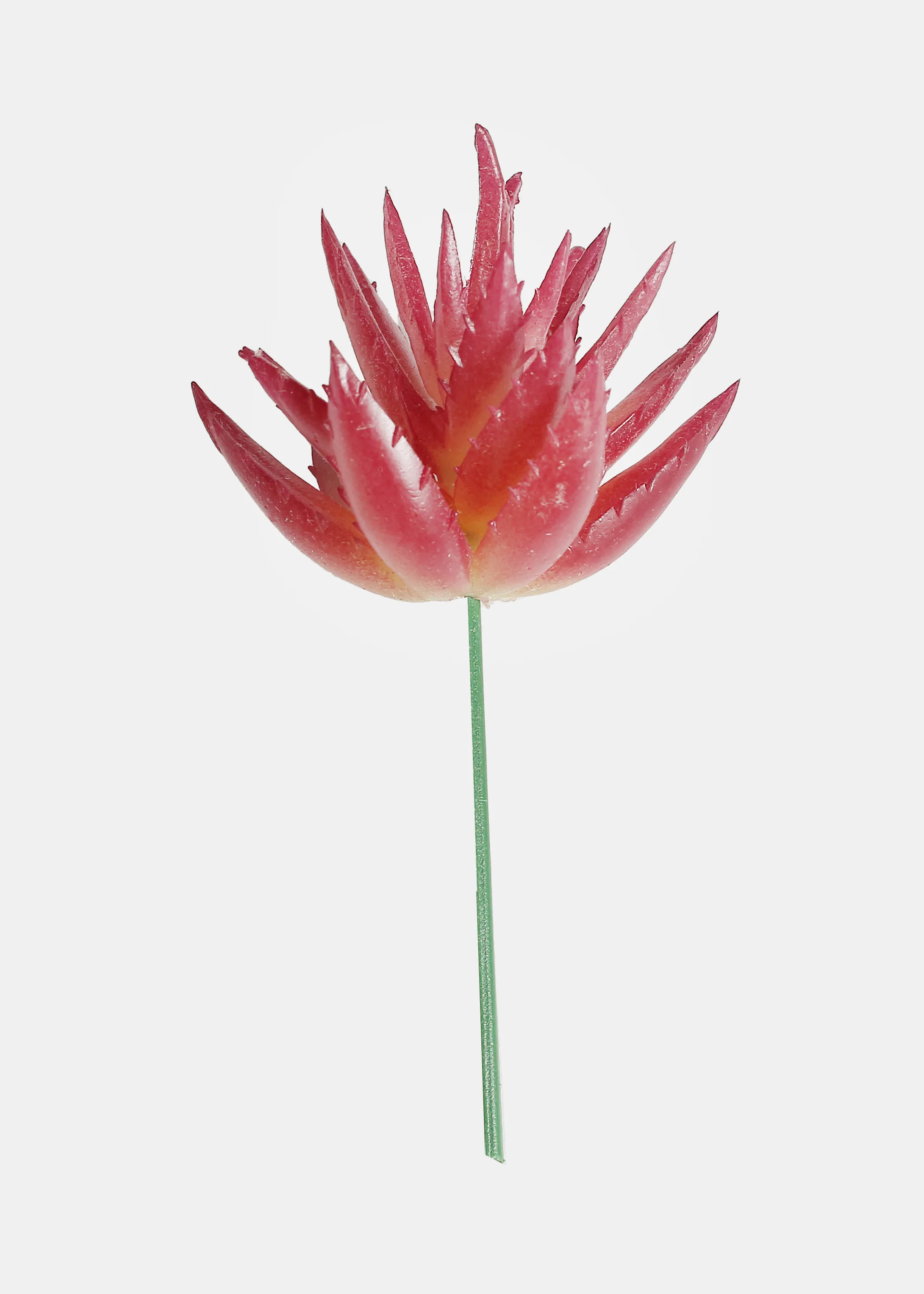 Official Key Items Artificial Succulents - Pink 5 Layered Cape Aloe - Image 2