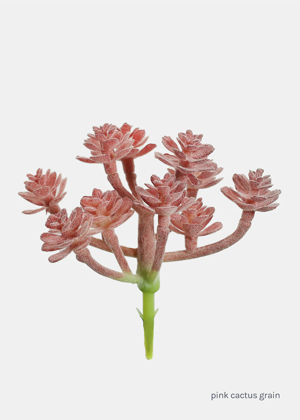 Official Key Items Artificial Succulents - Pink Cactus Grain