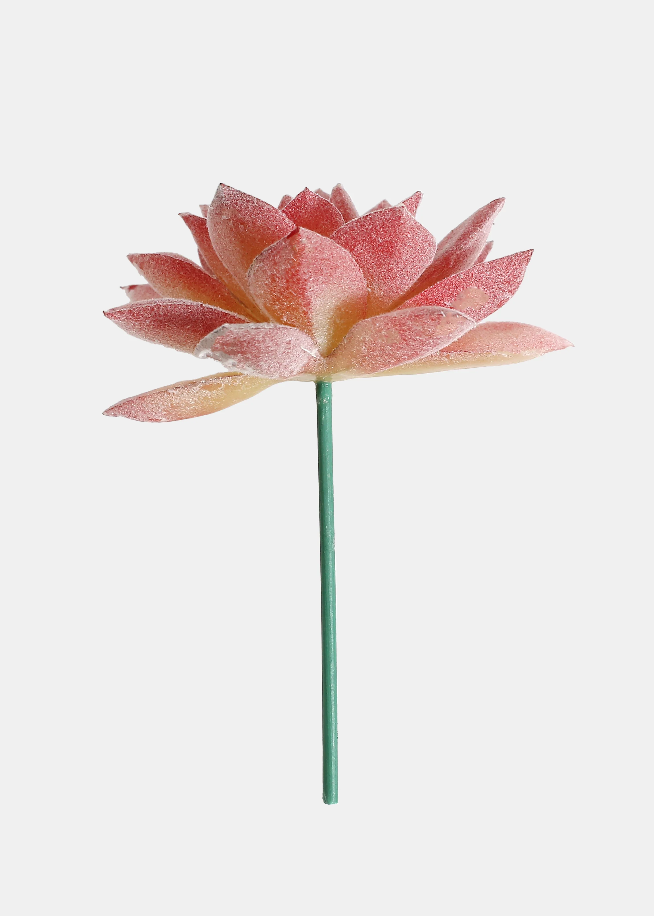 Official Key Items Artificial Succulents - Pink Lotus - Image 2