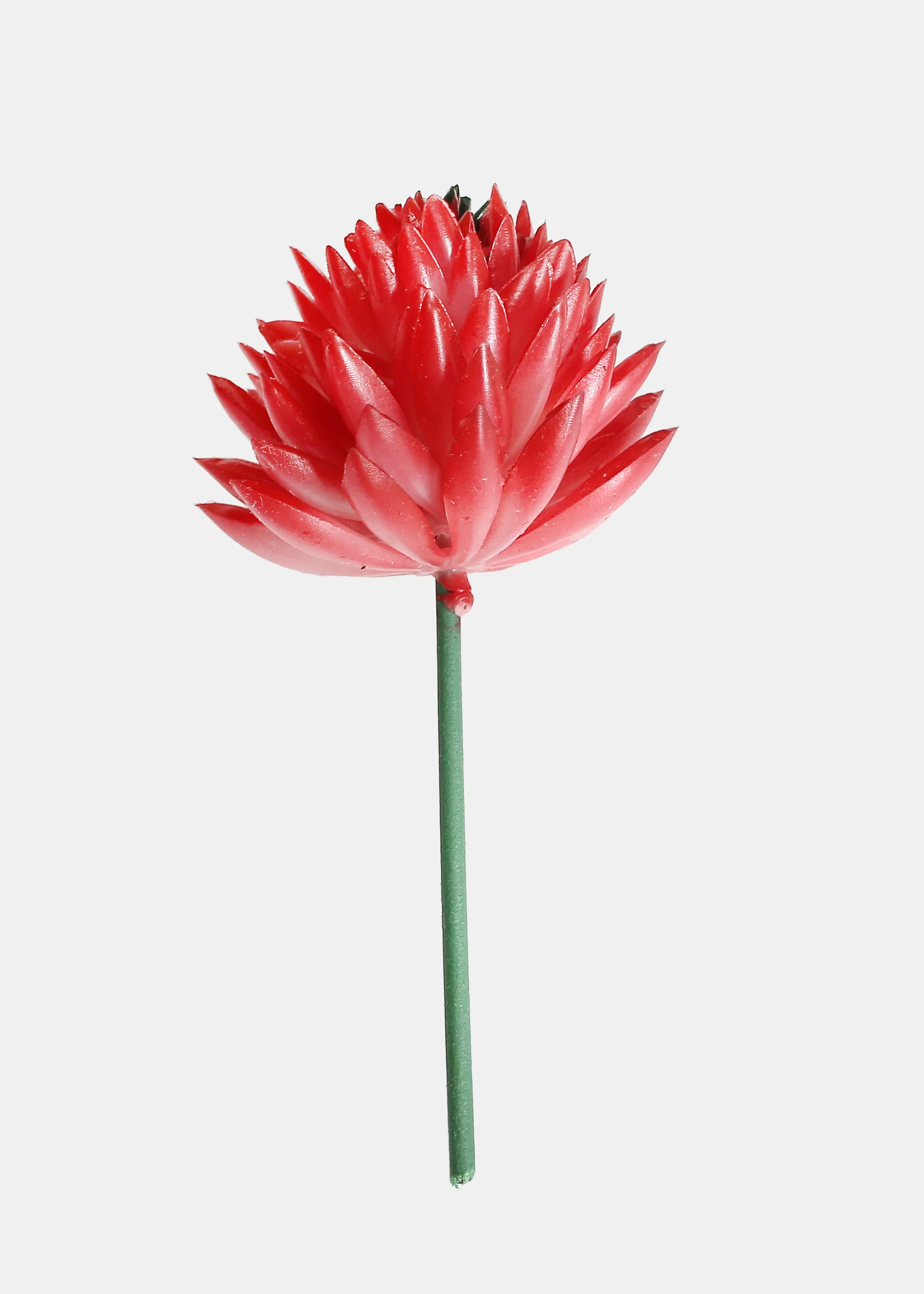 Official Key Items Artificial Succulents - Red Six Large Succulent - Image 3