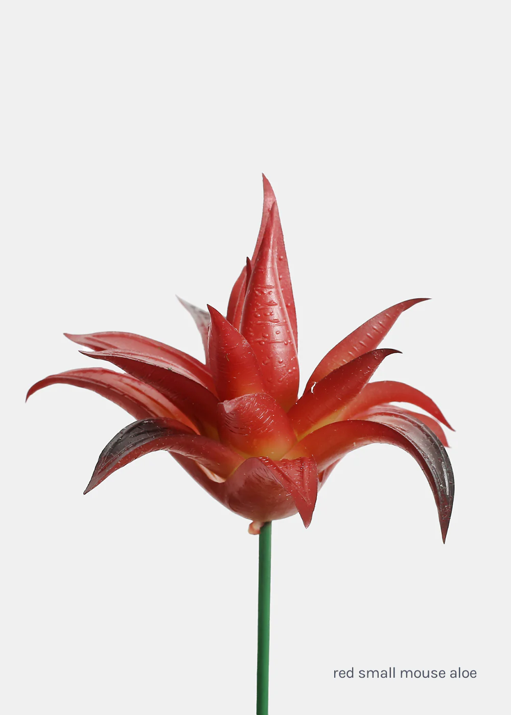 Official Key Items Artificial Succulents - Red Small Mouse Aloe