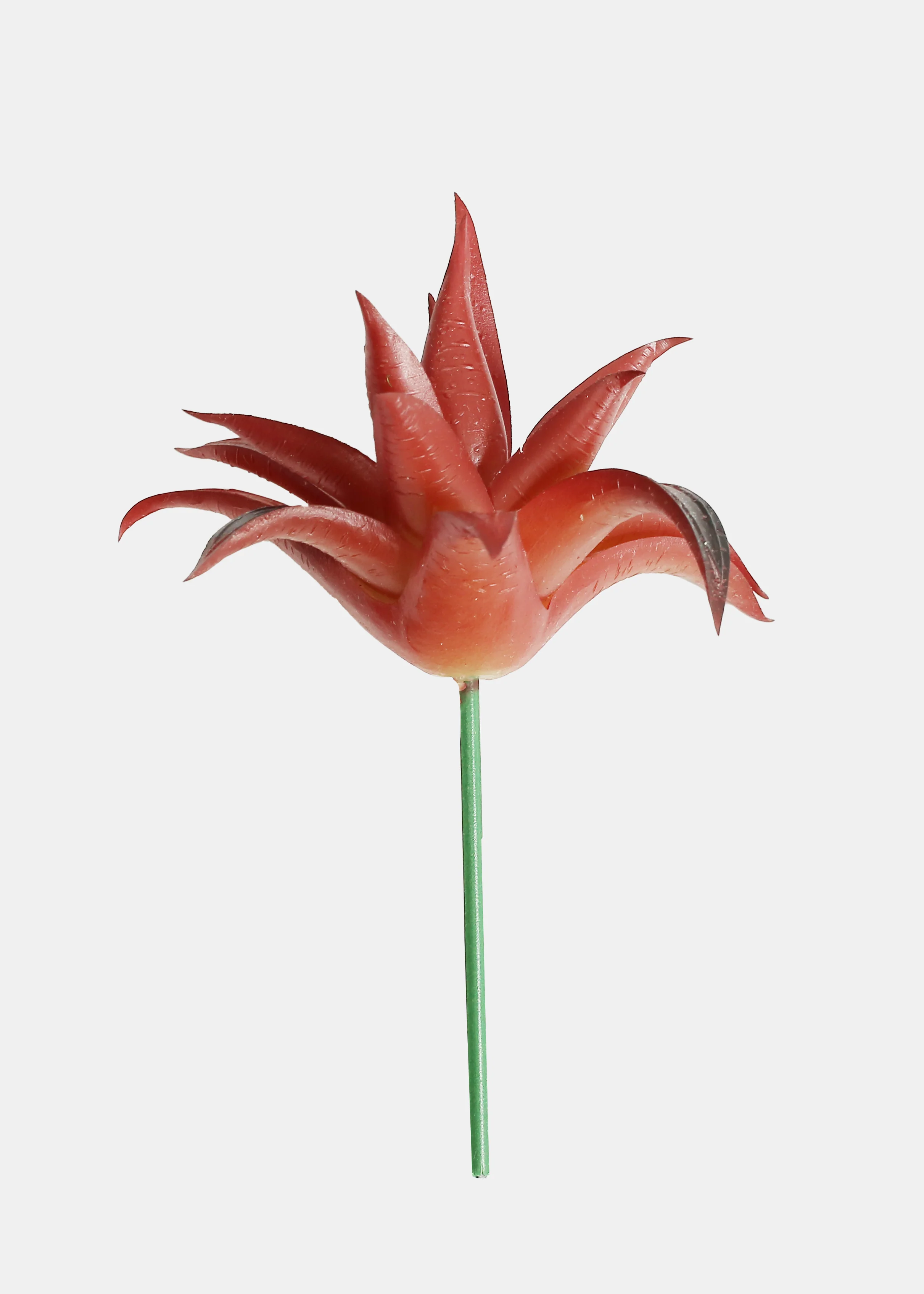 Official Key Items Artificial Succulents - Red Small Mouse Aloe - Image 2