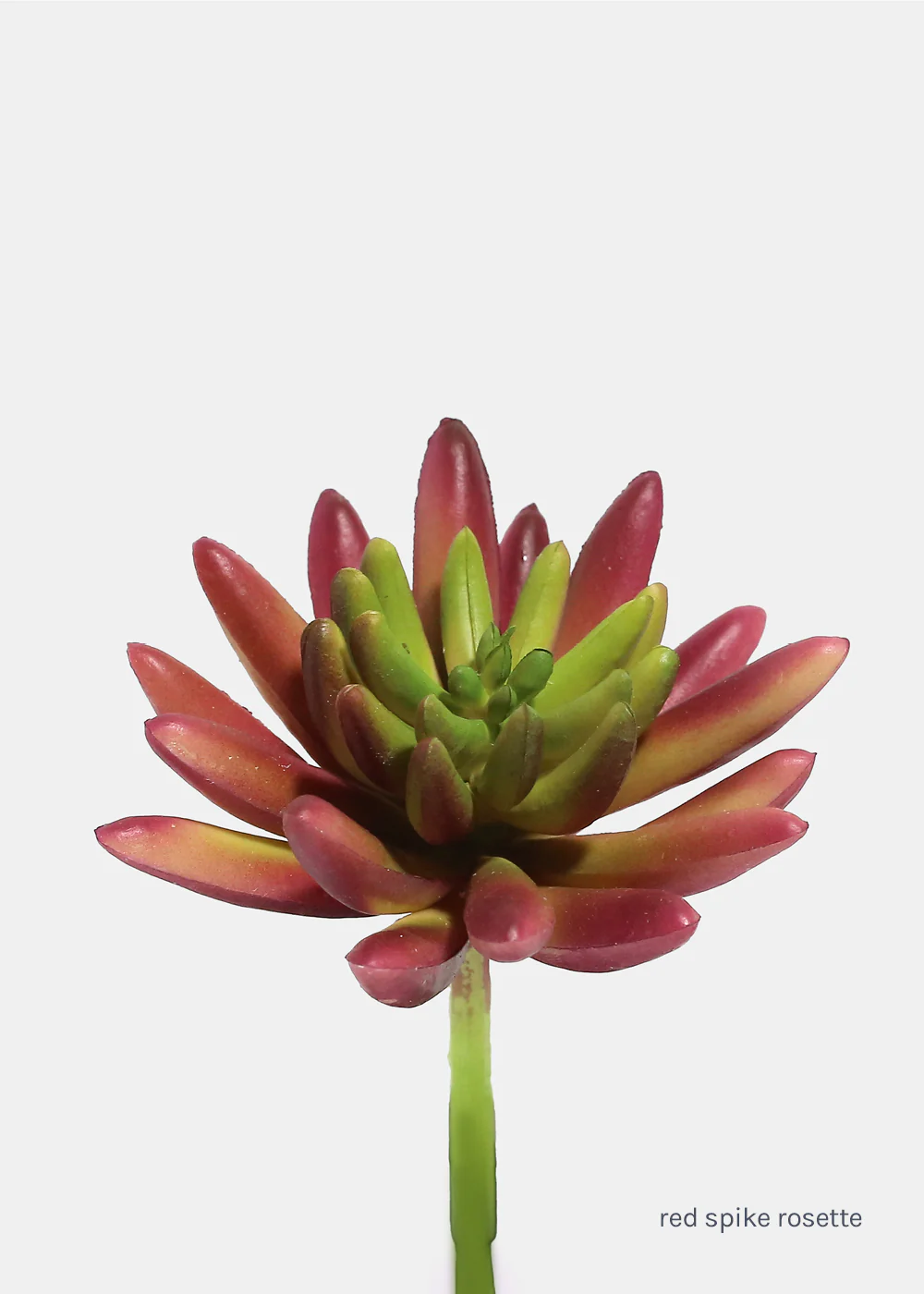 Official Key Items Artificial Succulents - Red Spike Rosette