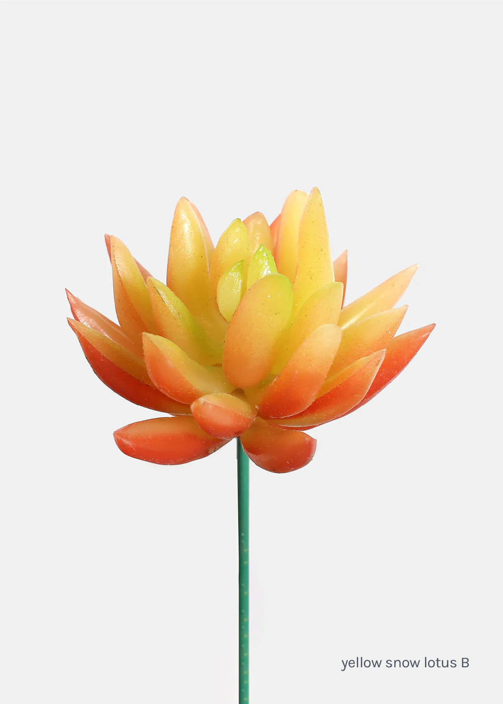 Official Key Items Artificial Succulents - Yellow Snow Lotus B