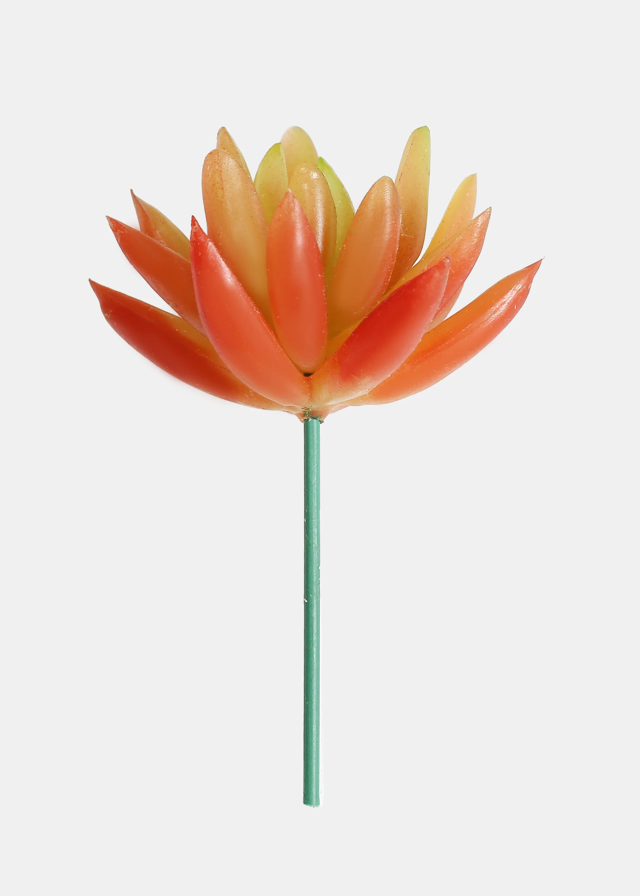 Official Key Items Artificial Succulents - Yellow Snow Lotus B - Image 2