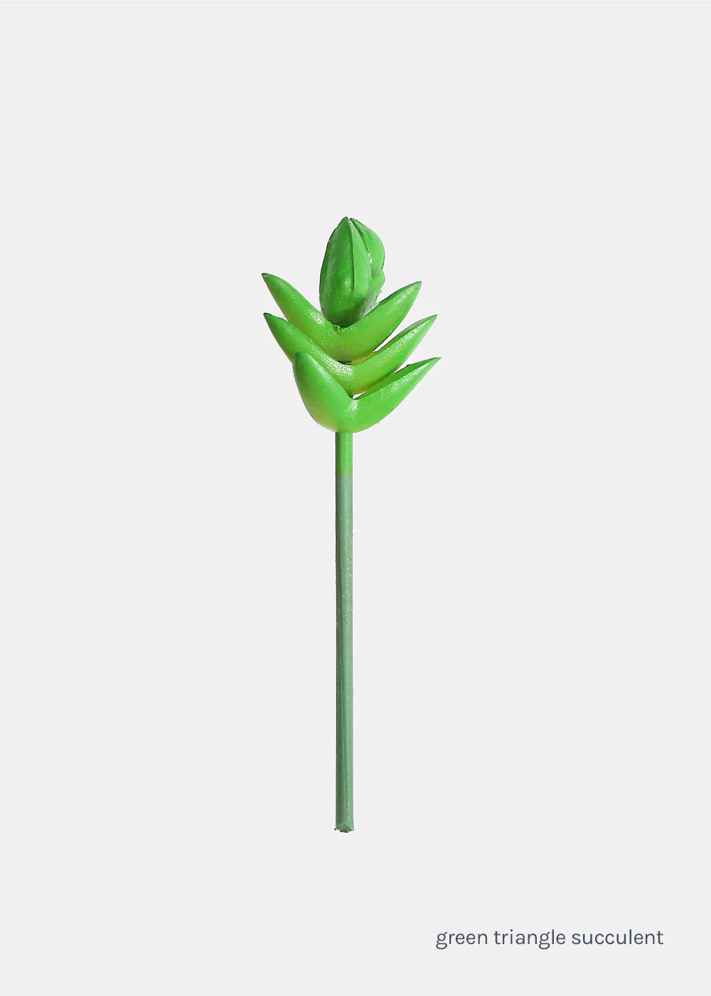 Official Key Items Small Succulents - Image 5