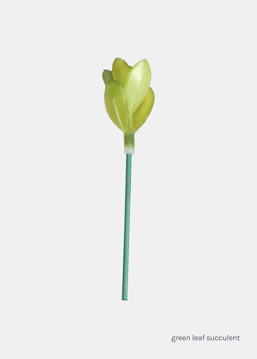 Official Key Items Small Succulents - Image 7