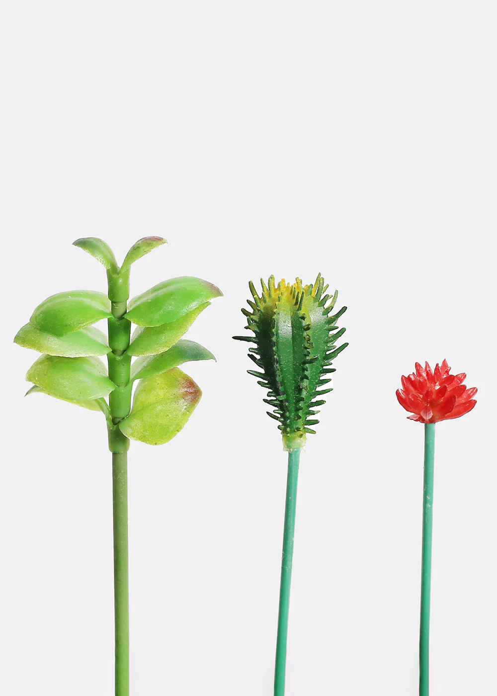Official Key Items Small Succulents - Image 2
