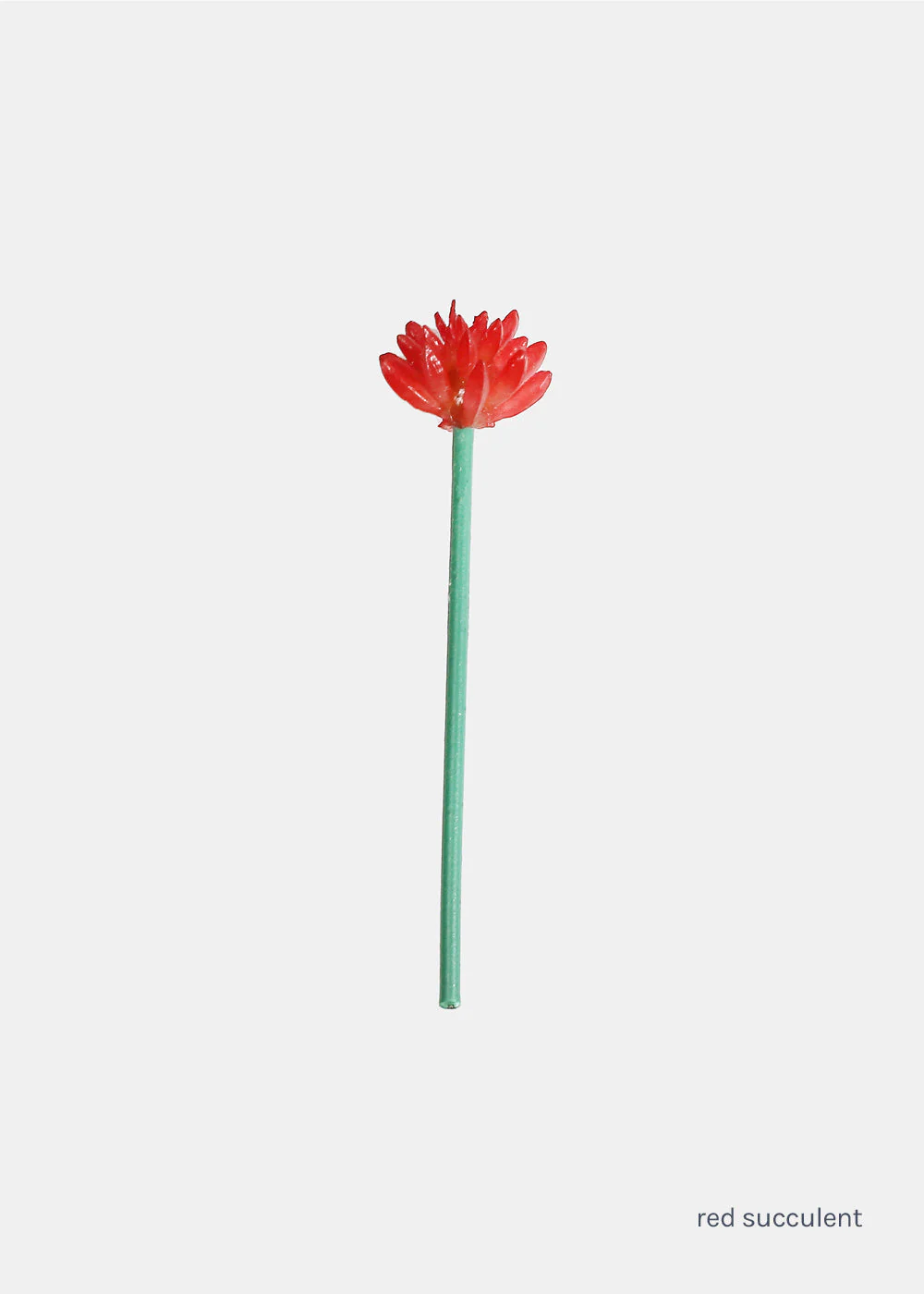 Official Key Items Small Succulents - Image 4