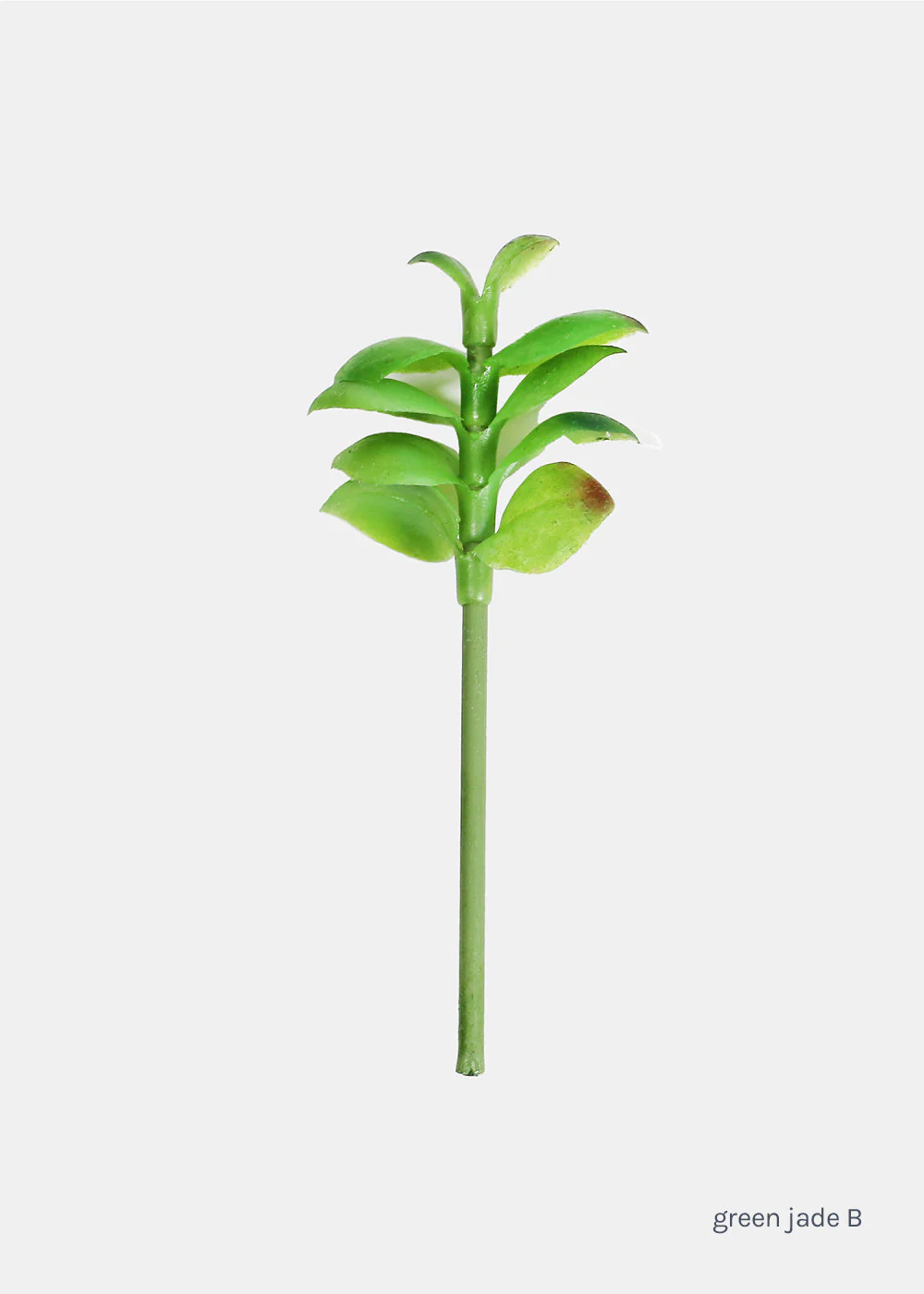 Official Key Items Small Succulents - Image 6