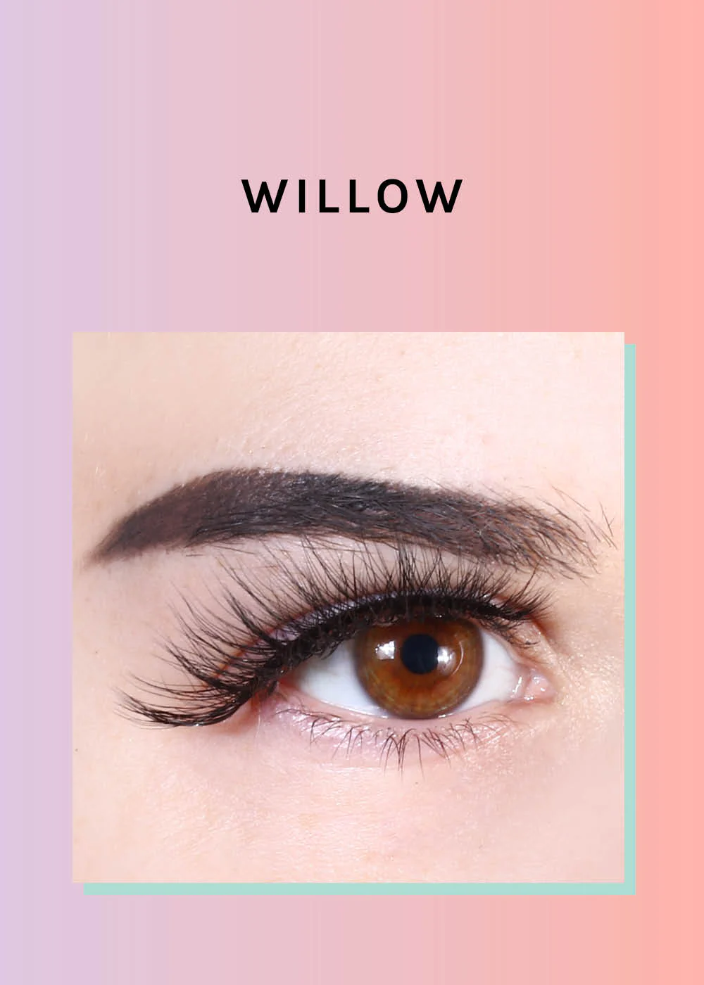 Paw Paw: 3D Faux Mink Lashes - Willow - Image 2