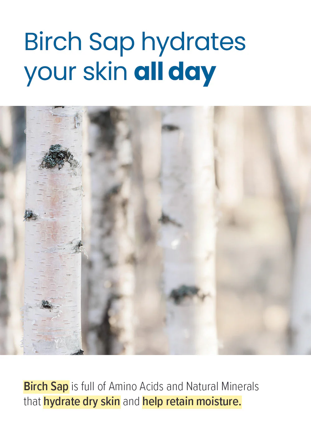 ROUND LAB Birch Juice Moisturizing UVLock Sunscreen 50ml - Image 3
