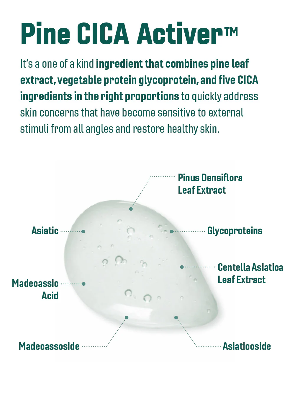 ROUND LAB Pine Calming Cica Ampoule 30ml - Image 6