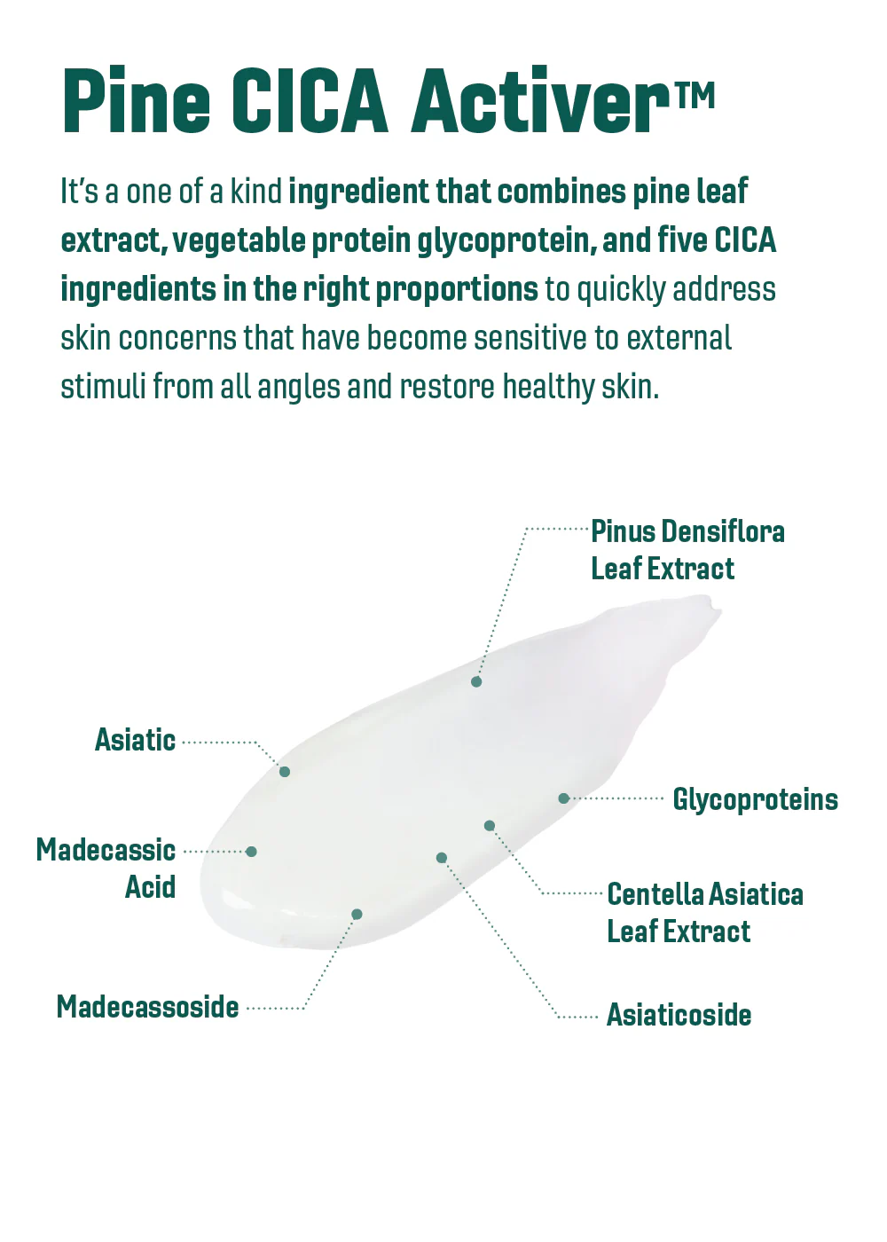 ROUND LAB Pine Calming Cica Cleanser 150ml - Image 6