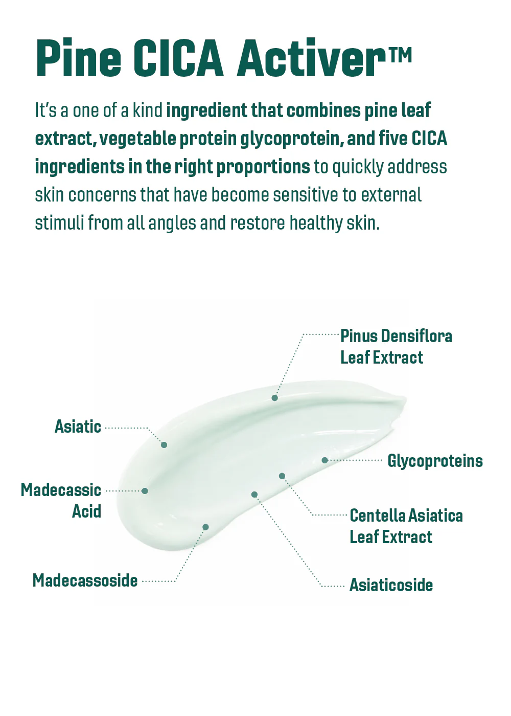 ROUND LAB Pine Calming Cica Cream 50ml - Image 6