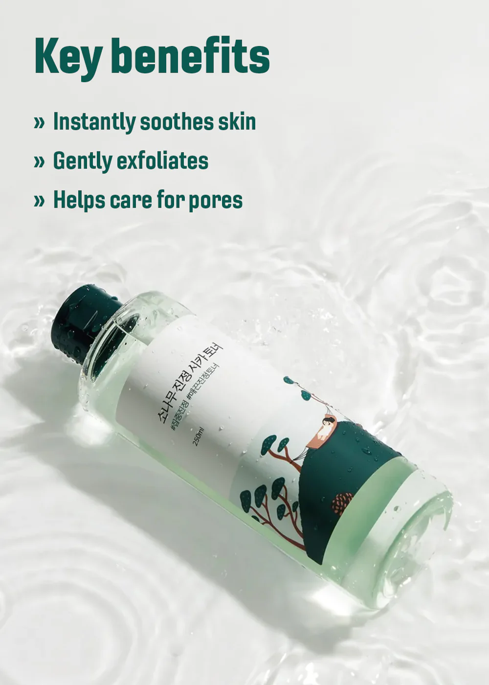 ROUND LAB Pine Calming Cica Toner 250ml - Image 3
