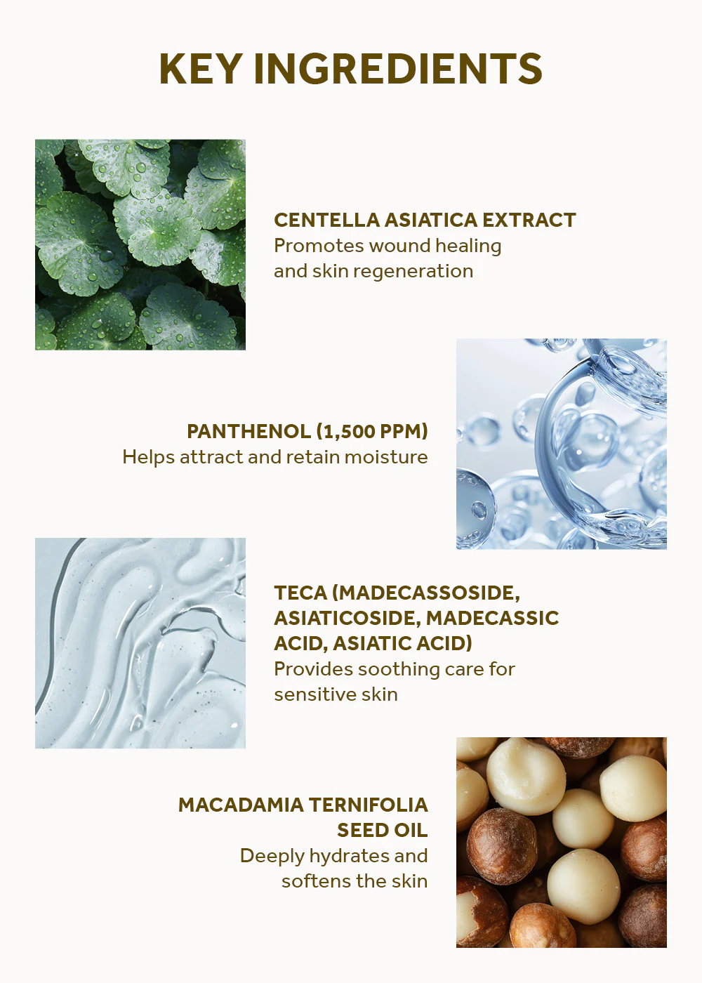 SKIN1004 Madagascar Centella Cream 75ml - Image 5