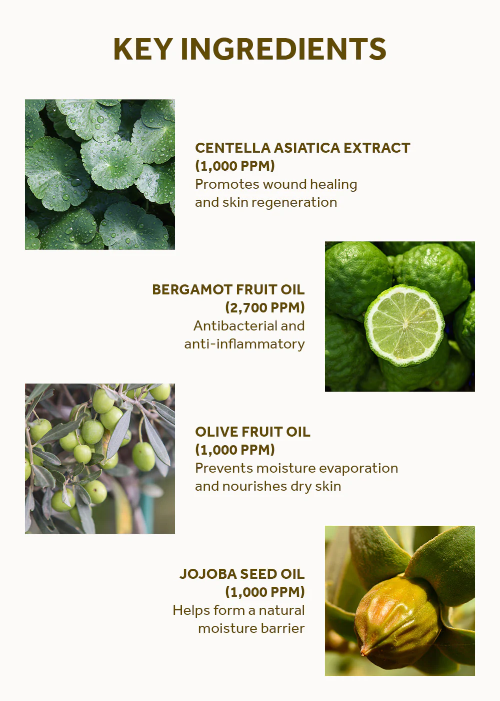 SKIN1004 Madagascar Centella Light Cleansing Oil 200ml - Image 5