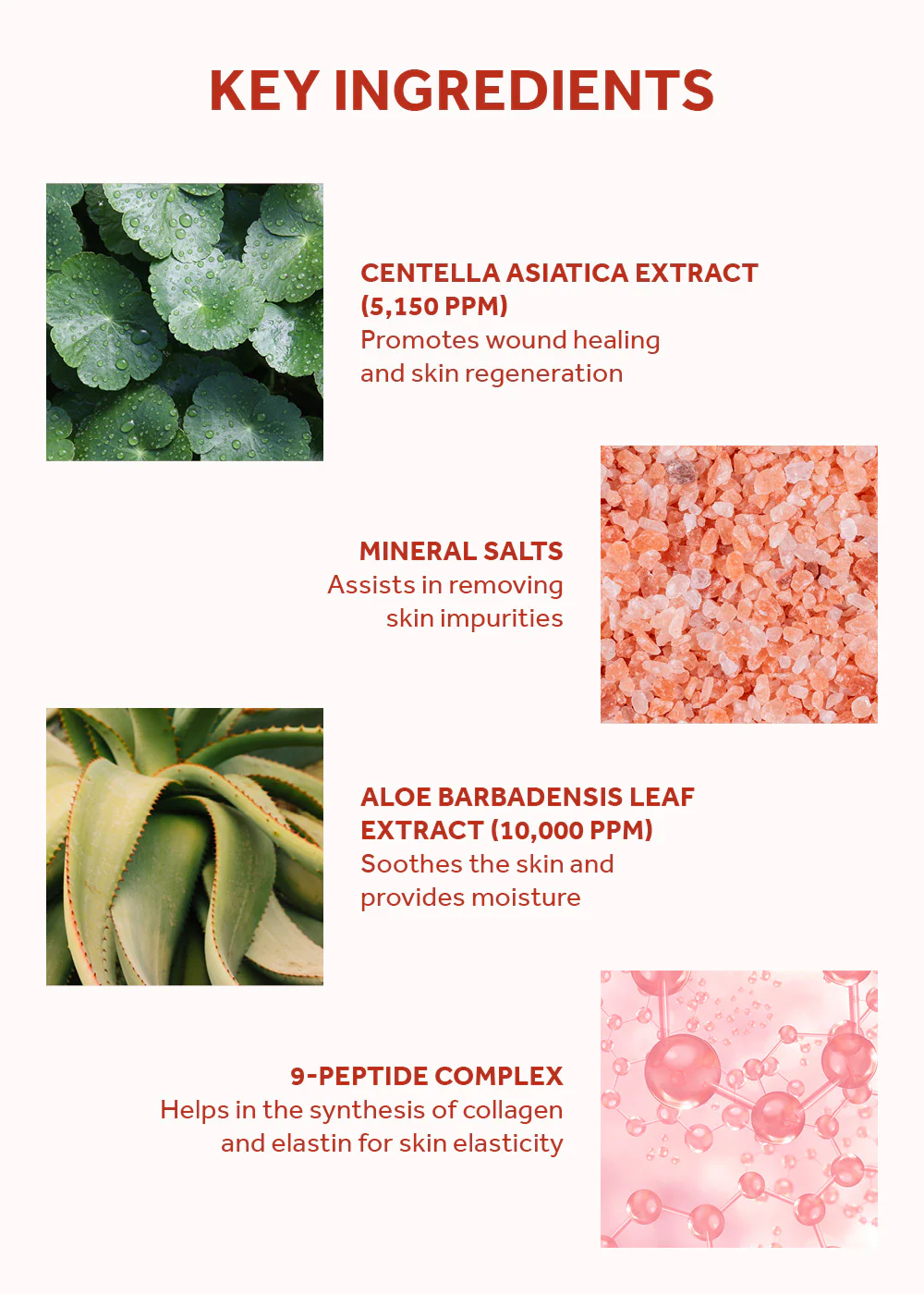 SKIN1004 Madagascar Centella Poremizing Fresh Ampoule 100ml - Image 5