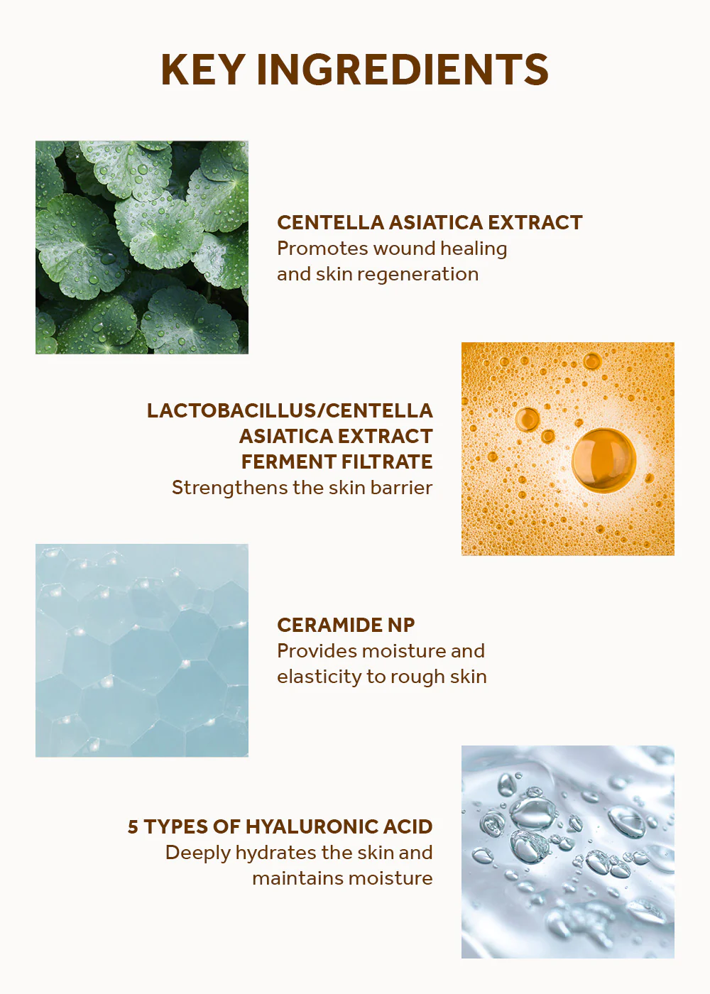 SKIN1004 Madagascar Centella Probio-Cica Essence Toner 210ml - Image 5