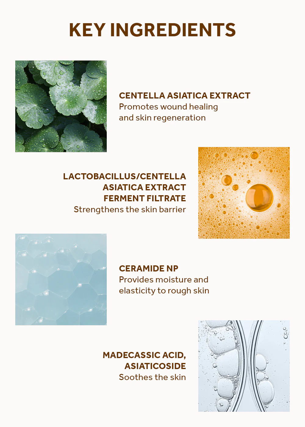 SKIN1004 Madagascar Centella Probio-Cica Intensive Ampoule - Image 5