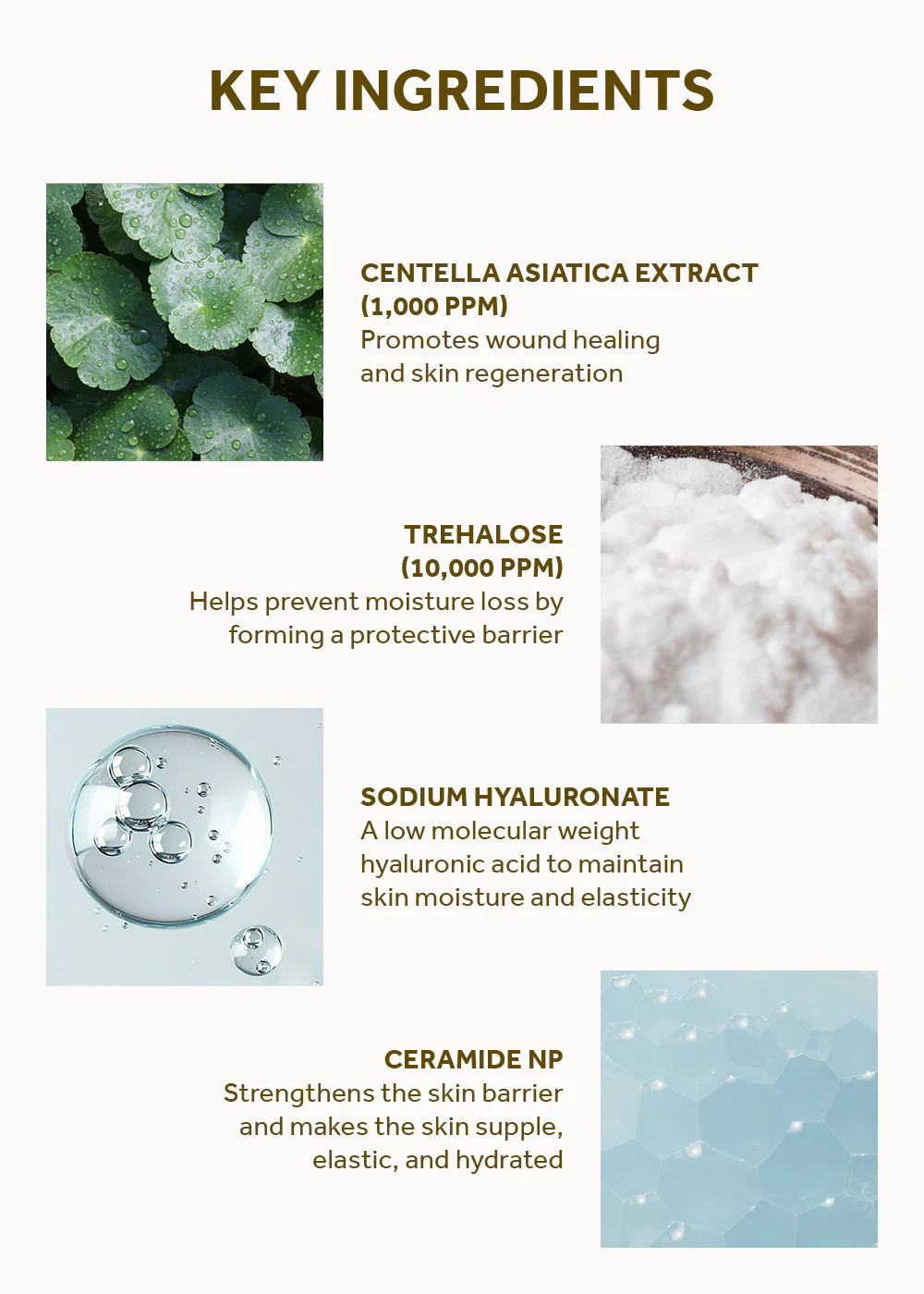 SKIN1004 Madagascar Centella Soothing Cream 75ml - Image 5