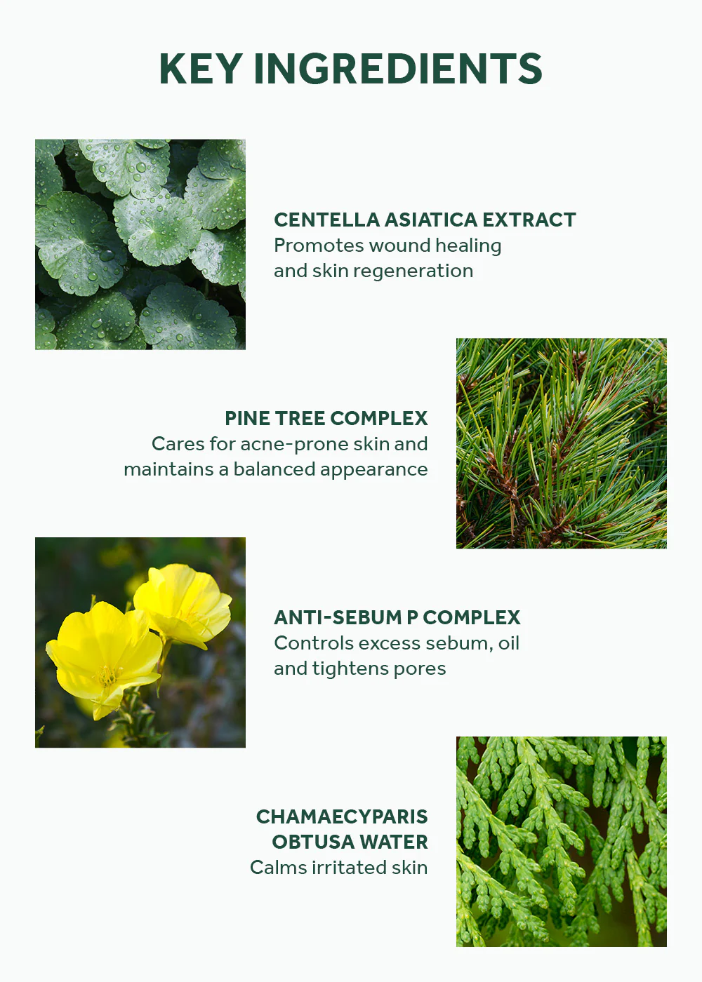 SKIN1004 Madagascar Centella Tea-Trica Relief Ampoule 100ml - Image 5